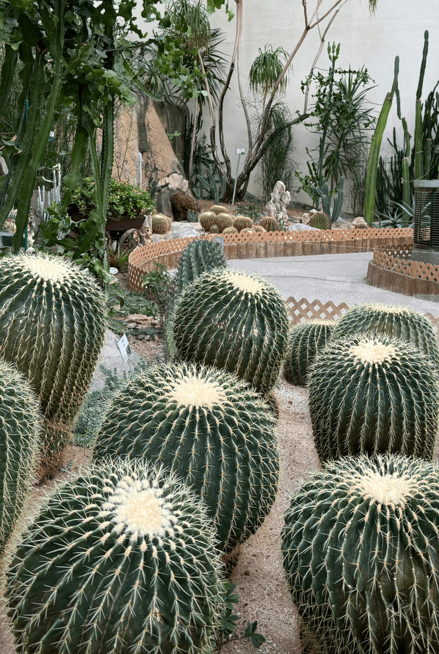 Visit Hong Kong Park