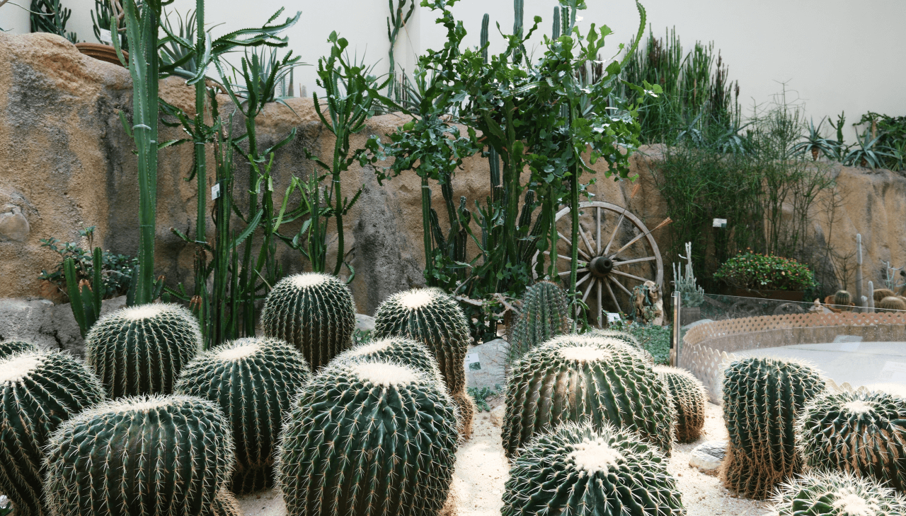 Forsgate Conservatory